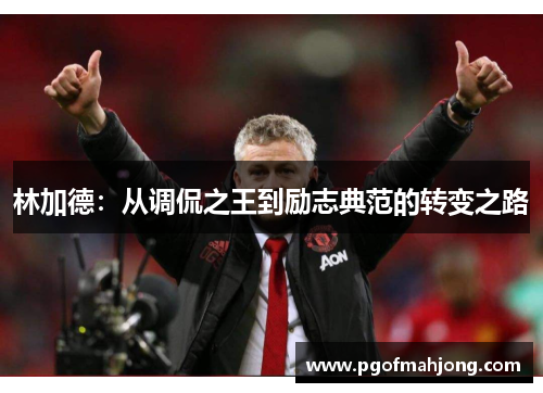 林加德：从调侃之王到励志典范的转变之路