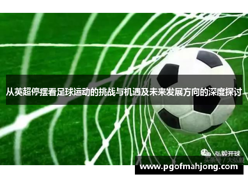 从英超停摆看足球运动的挑战与机遇及未来发展方向的深度探讨