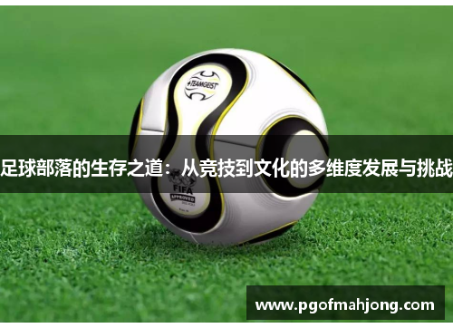 足球部落的生存之道：从竞技到文化的多维度发展与挑战